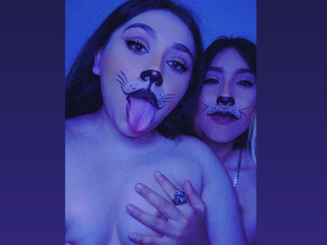 SweetDemond69 - Sexe cam en vivo - 17340286