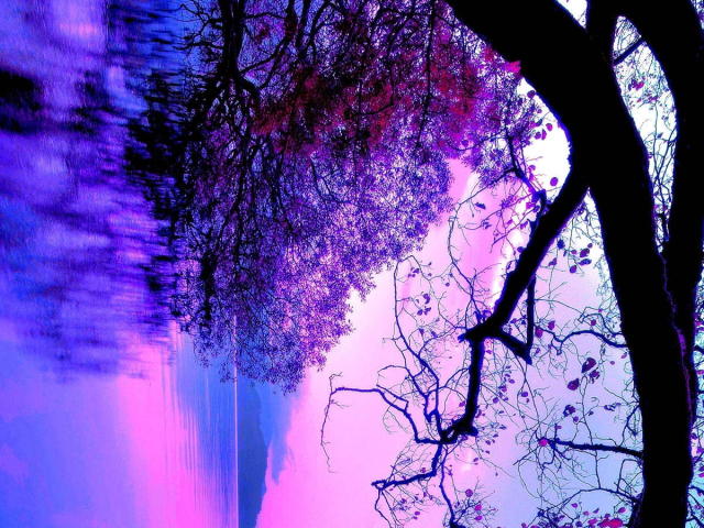 test - Camera khiêu dâm &amp; quyến rũ trực tiếp - 17342334