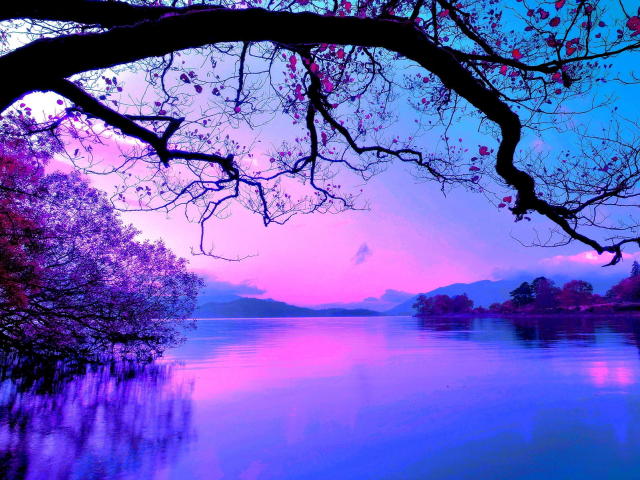 test - Sexe cam en vivo - 17342338