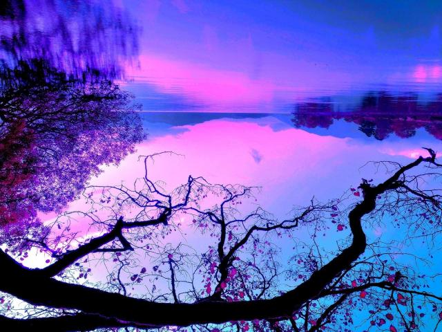 test - Live porn &amp; sex cam - 17342430