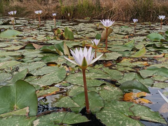 VaaleryStark - Live porn &amp; sex cam - 17348950