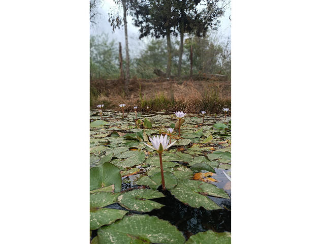 VaaleryStark - פורנו בשידור חי ומצלמת סקס - 17349342