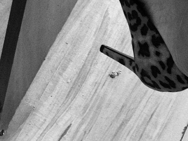 Julaiya - Live porn &amp; sex cam - 17365318