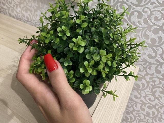 Blumi - Sexe cam en vivo - 17500590