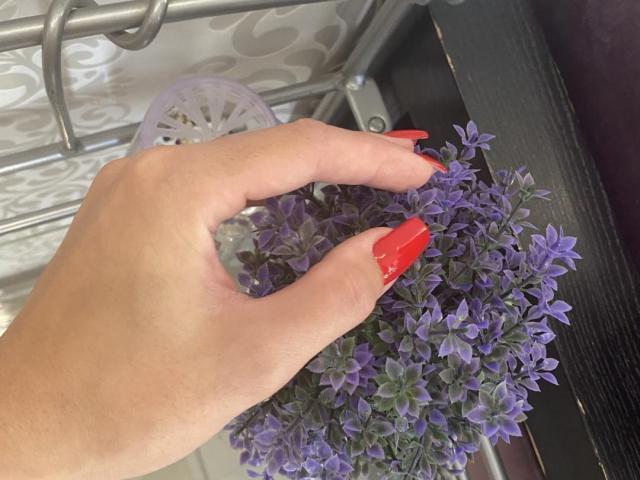 Blumi - Live sex cam - 17500706