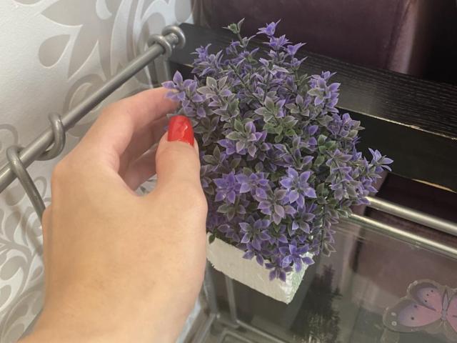 Blumi - Live sexe cam - 17500742