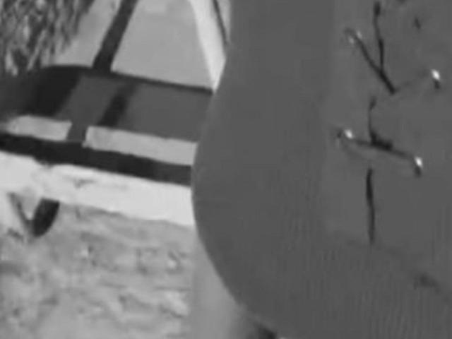 El trasero redondo de LaPochka está prominentemente en primer plano, con un fondo borroso y parte de un cinturón visible en el lado derecho. Imagen en blanco y negro..