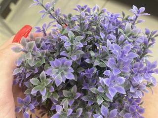 GeorginaSparks - Live porn &amp; sex cam - 17631442