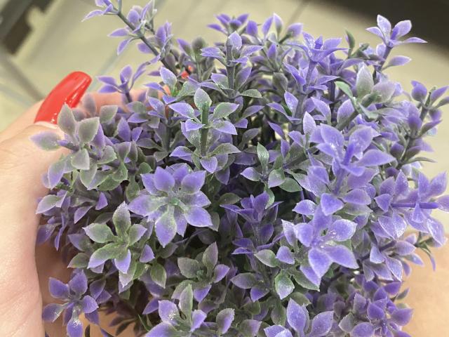 GeorginaSparks - Live porn &amp; sex cam - 17631442