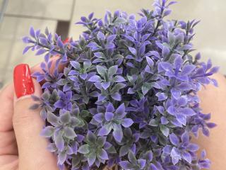 GeorginaSparks - Live porn &amp; sex cam - 17631462