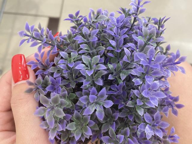 GeorginaSparks - Live porn &amp; sex cam - 17631462