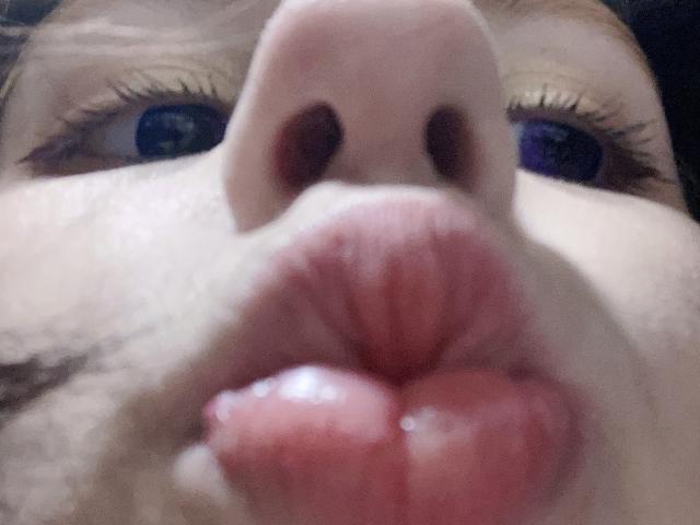 ImAmelie - сексуальная веб-камера в реальном времени - 17647370