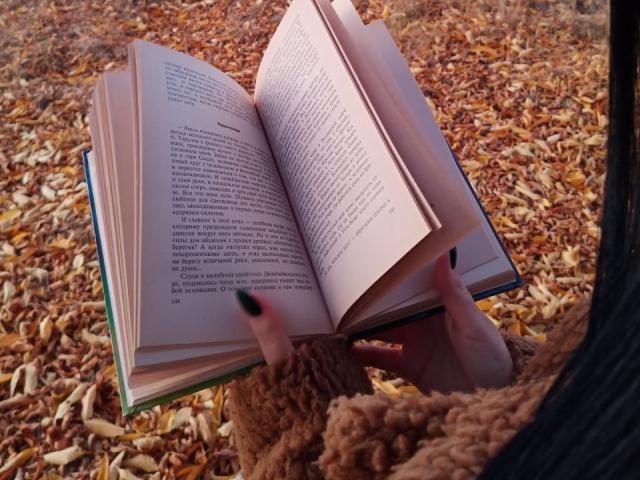 Las manos de Zanoza sosteniendo un libro abierto, un suéter marrón y peludo, cubiertas de libros en tonos verde y azul, uñas pintadas de negro, de pie sobre un suelo cubierto de semillas de girasol..
