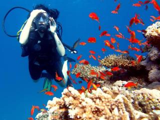 EmilyMoony - сексуальная веб-камера в реальном времени - 17708442