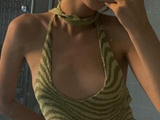 Villmore's Model Profile