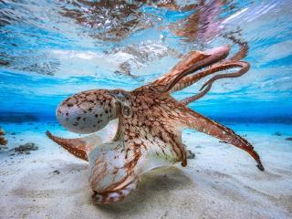 oliviermodeltest - сексуальная веб-камера в реальном времени - 17941698