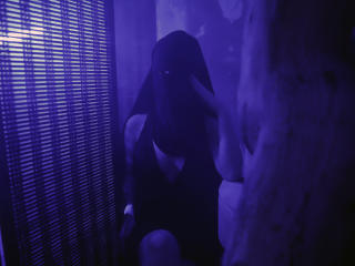 NoraArabic - Sexe cam en vivo - 18029986