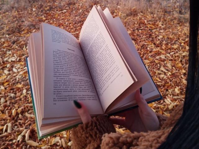 Les mains de Zanoza, aux ongles noirs, tiennent un livre ouvert, entourées d'un pull marron et duveteux, sur un tas de feuilles d'automne..