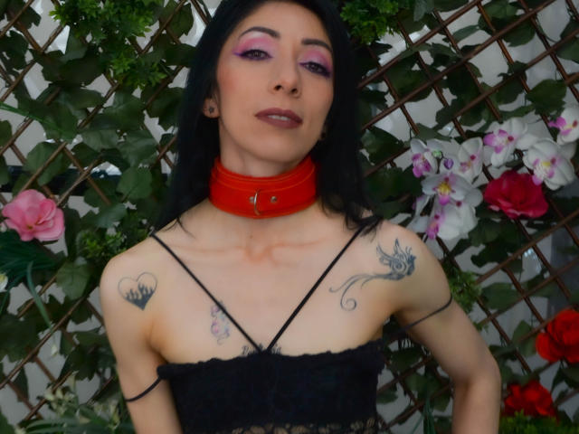 RouseFerrer - Live sex cam - 18234398