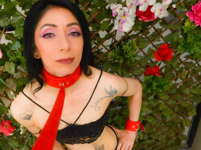 RouseFerrer - Sexe cam en vivo - 18234422