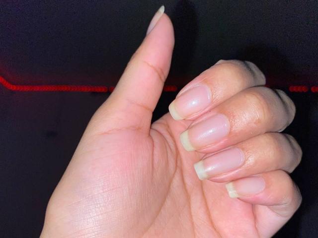 A digital illustration of four red, stylized letter "L" shapes, evenly spaced and centered. Soft gradient from dark to light red, smooth textures, and clean lines. Minimalist design.