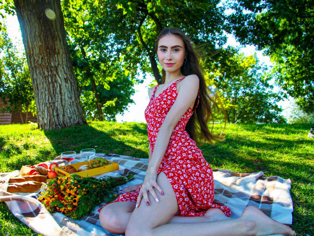 SaraQuincy, with long brown hair, wearing a red floral dress, kneeling on a blanket, showing her ass, surrounded by a picnic with tomatoes and a yellow box.
