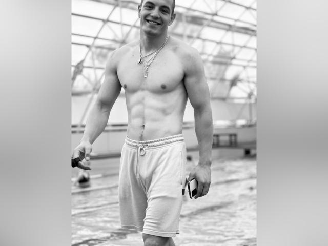 Digital illustration of five overlapping medieval-style coat of arms. Each coat of arms has a dark center with a light border, creating a layered effect. Colors are muted and consistent.