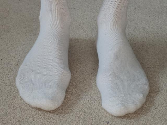 SteveTiger - Camera khiêu dâm &amp; quyến rũ trực tiếp - 18608310