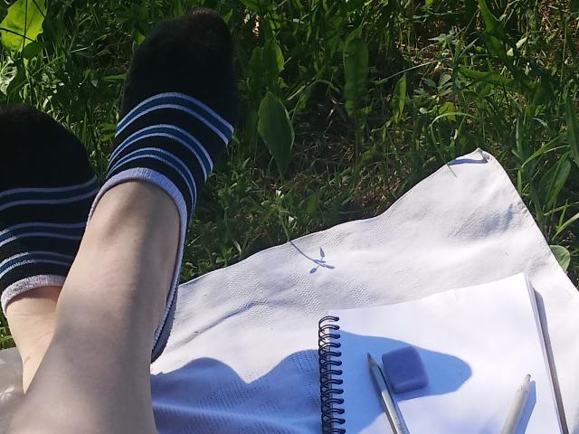 Las piernas de Zanoza, con calcetines a rayas blancas y negras, junto con un cuaderno de espiral y lápices sobre un paño blanco, descansando sobre la hierba verde. Los pies de Zanoza apuntan hacia arriba..