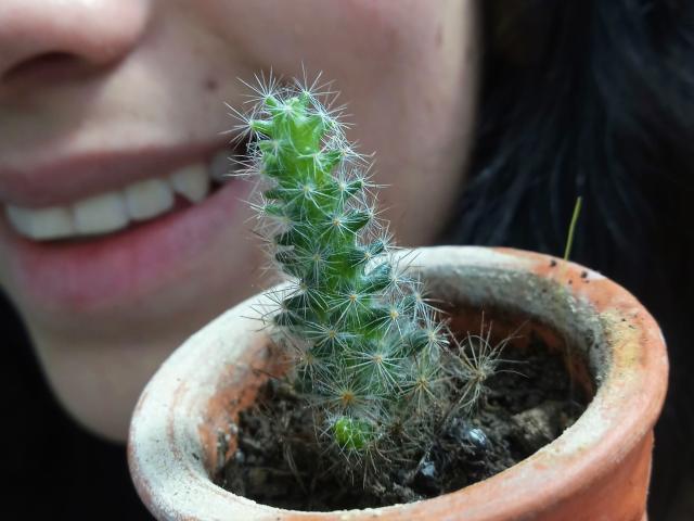 CarolBlanchet - сексуальная веб-камера в реальном времени - 18750530