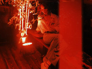 AdelHeide - Sexe cam en vivo - 19023854