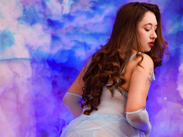 Flat, bold, and minimalist style of five overlapping coat of arms. Each shield is slightly translucent, creating a layered effect. Central red and blue colors dominate the composition.