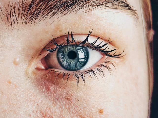 SoniaTestX - Sexe cam en vivo - 19464546