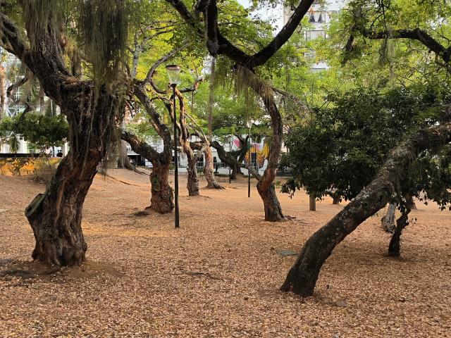 KimSummer - Live porn &amp; sex cam - 19536294