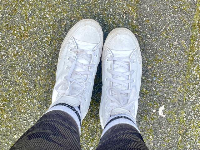 GoddessSaphire - Camera khiêu dâm &amp; quyến rũ trực tiếp - 19563806