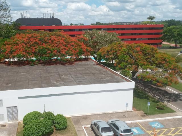 CoupleMature - Live Sex Cam - 19693714