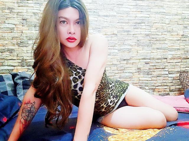 CatherineHotTS, com cabelos castanhos longos, blusa de estampa de leopardo e roupa íntima preta, ajoelhada, mostrando seu braço tatuado e lábios vermelhos, em uma cama azul..