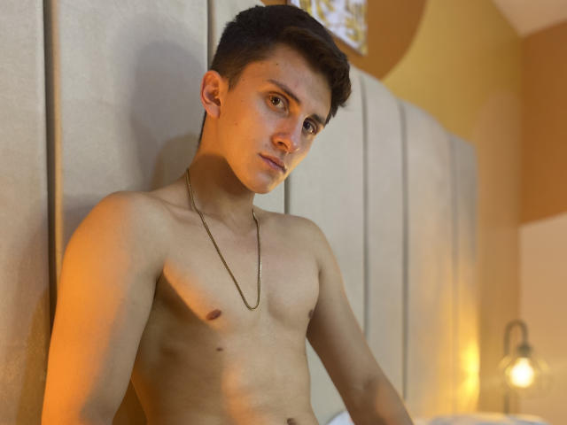 A digital illustration of a flat, stylized coat of arms. Dominated by a central red and white emblem with a bold, angular design. Colors are muted, with a simple, clean composition.