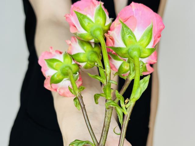 BastianLeonis - Live porn &amp; sex cam - 19952726