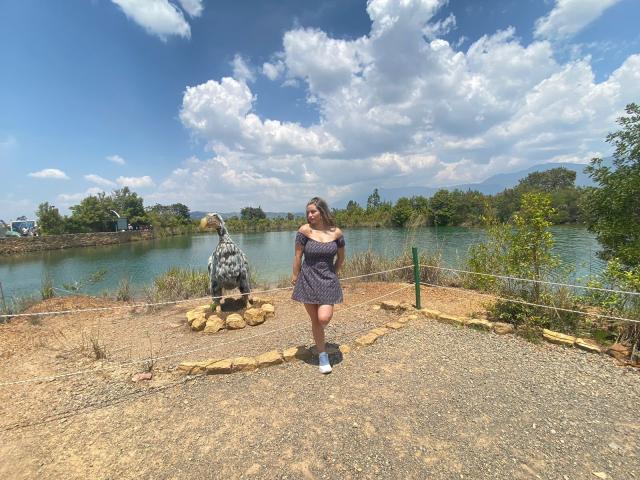 AtheneaRossi - Sexe cam en vivo - 19988678