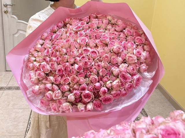 Polinka - Sexe cam en vivo - 20063450