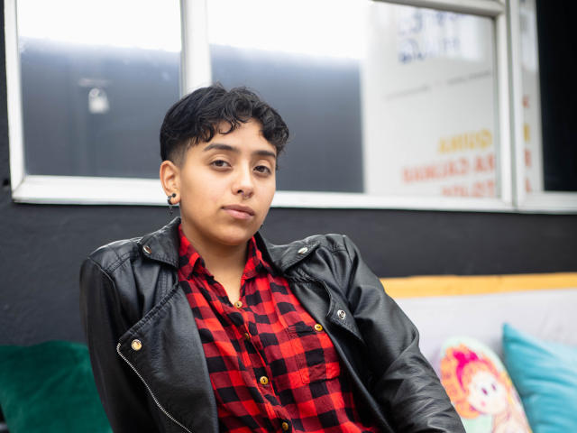 Digital art of a medieval-style coat of arms. Red and black colors, bold geometric shapes, central shield with intricate design, subtle gradient from dark to light. Simple, clean lines.