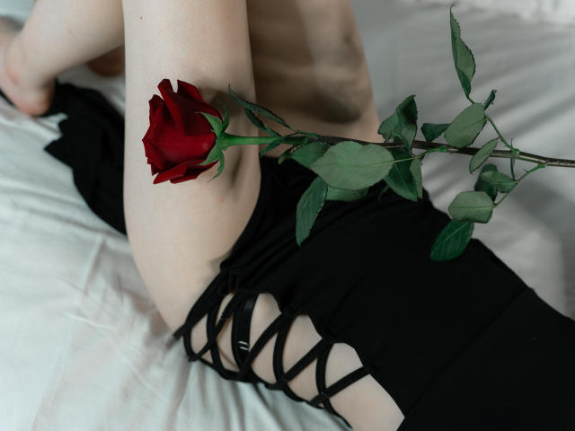 As pernas pálidas de Beatrica Klein, o vestido preto com cadarços e a rosa vermelha sobre a cama branca. O caule verde da rosa, as pétalas vermelho-escuras e as folhas verdes. A pele nua e macia de Beatrica Klein e o vestido..