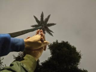 LyaFist - сексуальная веб-камера в реальном времени - 20251462