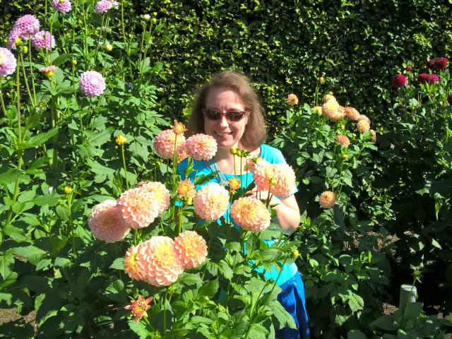 SexyAmyX-atractiva, con cabello castaño, usando gafas de sol y una blusa azul, de pie en un jardín con dalias rosas y naranjas, sosteniendo una flor amarilla..