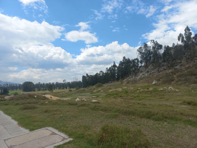 WendyBeckerX - Live porn &amp; sex cam - 20424526