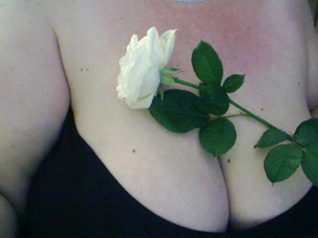 SECRET-CAM's pale skin, large tits, in a black top, holding a white rose against her chest, green leaves and stem visible. Her cleavage is prominent, rose is centered.