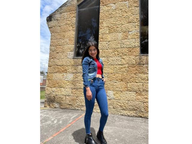 Bamboo-style letter "H" with blue, red, and white stripes. Simple, flat design. Dark, solid colors. Thick, textured bamboo pattern. Centered, bold lettering. Traditional Asian influence.