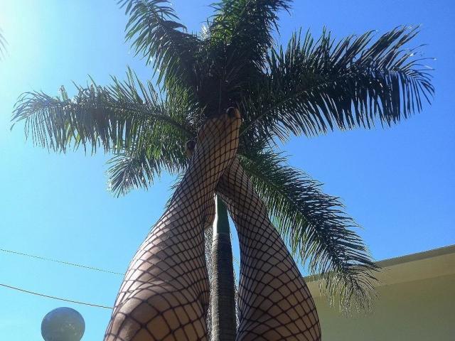 MelanyeLopez - Sexe cam en vivo - 20678882