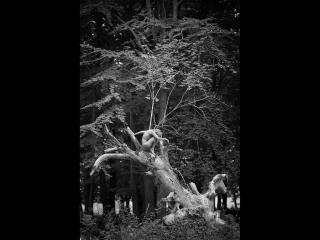 Lulu-4-you - сексуальная веб-камера в реальном времени - 20712722